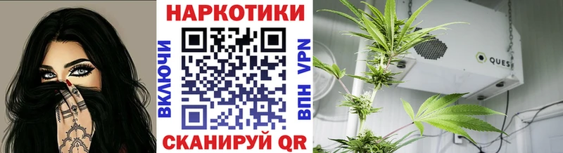 Где купить Солнечногорск Альфа ПВП Галлюциногенные грибы Гашиш Меф