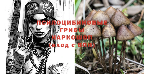 Альфа ПВП Аркадак