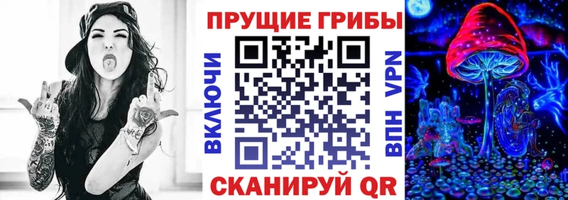 Псилоцибиновые грибы Magic Shrooms  Солнечногорск 
